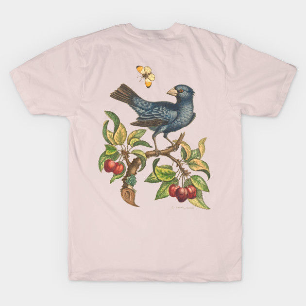 Bird Vintage Illustration by Biophilia